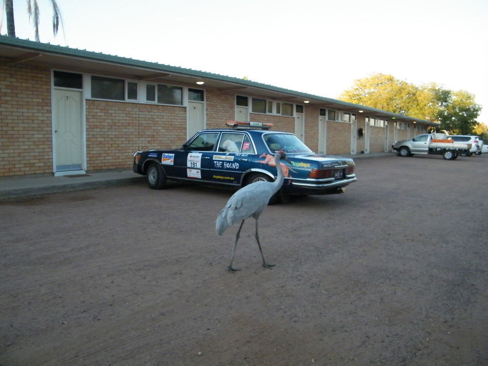 Jumbuck Motor Inn - Pool - Pet Friendly Section - King Beds Longreach Eksteriør bilde